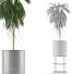 Plante en pot Simple 18 - rodolfoboscan911