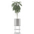 Plante en pot Simple 18 - rodolfoboscan911
