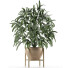 Potted Plant Single 17 - rodolfoboscan911