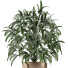 Potted Plant Single 17 - rodolfoboscan911