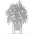 Potted Plant Single 17 - rodolfoboscan911