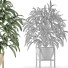 Potted Plant Single 17 - rodolfoboscan911