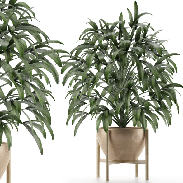 Potted Plant Single 17 3D model
