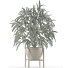 Potted Plant Single 17 - rodolfoboscan911
