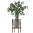 Plante en pot Simple 16 - rodolfoboscan911