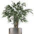 Plante en pot Simple 16 - rodolfoboscan911