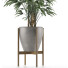 Plante en pot Simple 16 - rodolfoboscan911