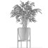 Plante en pot Simple 16 - rodolfoboscan911