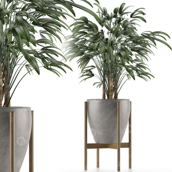 Plante en pot Simple 16 modèle 3D