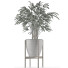 Plante en pot Simple 16 - rodolfoboscan911