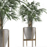 Plante en pot Simple 16 - rodolfoboscan911