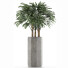 Plante en pot Simple 15 - rodolfoboscan911