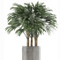 Plante en pot Simple 15 - rodolfoboscan911