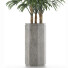Plante en pot Simple 15 - rodolfoboscan911