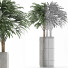 Plante en pot Simple 15 - rodolfoboscan911