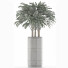 Plante en pot Simple 15 - rodolfoboscan911