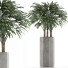 Plante en pot Simple 15 - rodolfoboscan911