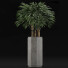 Plante en pot Simple 15 - rodolfoboscan911