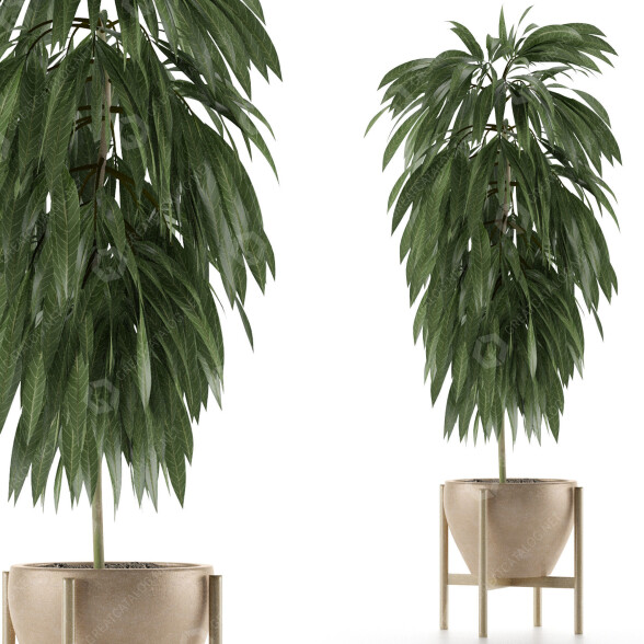 Planta en maceta Único 13 Modelo 3D