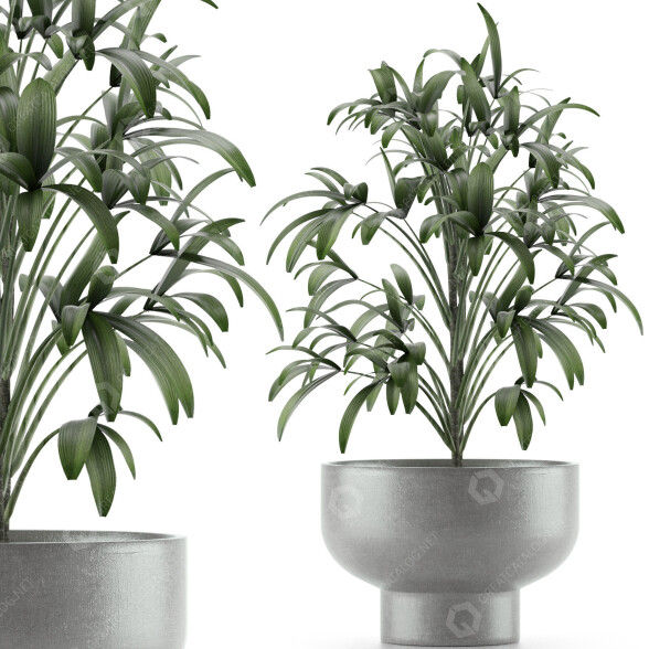 Planta en maceta Único 12 Modelo 3D