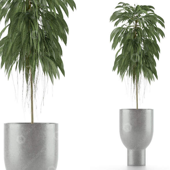 Planta en maceta Único 11 Modelo 3D
