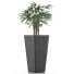 Plante en pot Simple 09 - rodolfoboscan911