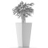 Plante en pot Simple 09 - rodolfoboscan911