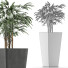 Plante en pot Simple 09 - rodolfoboscan911