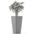 Plante en pot Simple 09 - rodolfoboscan911