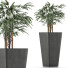 Plante en pot Simple 09 - rodolfoboscan911