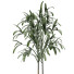 Plante en pot Simple 06 - rodolfoboscan911