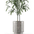 Plante en pot Simple 06 - rodolfoboscan911