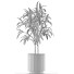 Plante en pot Simple 06 - rodolfoboscan911