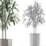 Plante en pot Simple 06 - rodolfoboscan911