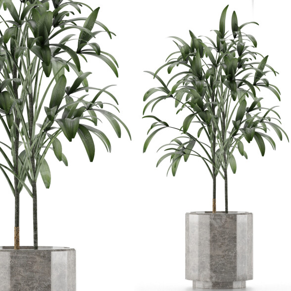 Plante en pot Simple 06 modèle 3D