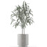 Plante en pot Simple 06 - rodolfoboscan911