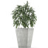 Plante en pot Simple 05 - rodolfoboscan911