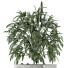 Plante en pot Simple 05 - rodolfoboscan911
