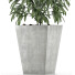 Plante en pot Simple 05 - rodolfoboscan911