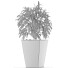 Plante en pot Simple 05 - rodolfoboscan911