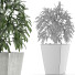 Plante en pot Simple 05 - rodolfoboscan911