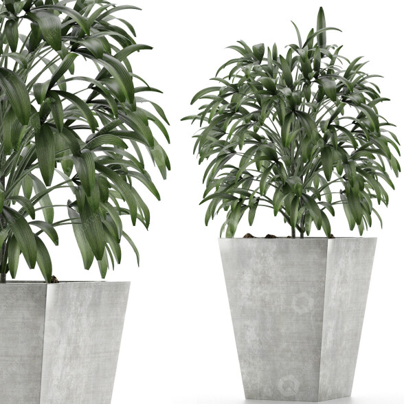 Plante en pot Simple 05 modèle 3D