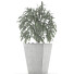 Plante en pot Simple 05 - rodolfoboscan911