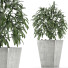 Plante en pot Simple 05 - rodolfoboscan911