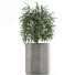 Plante en pot Simple 05 - rodolfoboscan911