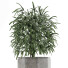 Plante en pot Simple 05 - rodolfoboscan911