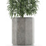 Plante en pot Simple 05 - rodolfoboscan911