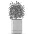 Plante en pot Simple 05 - rodolfoboscan911