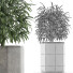 Plante en pot Simple 05 - rodolfoboscan911