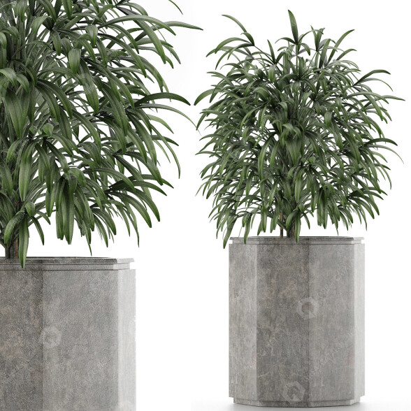 Plante en pot Simple 05 modèle 3D